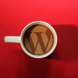 WordPress development